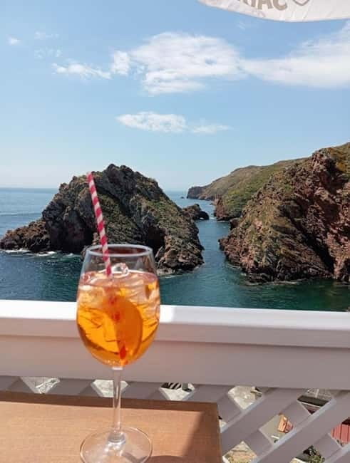 From Lisbon: Tour to Berlengas, a UNESCO natural reserve - Key highlights worth planning around