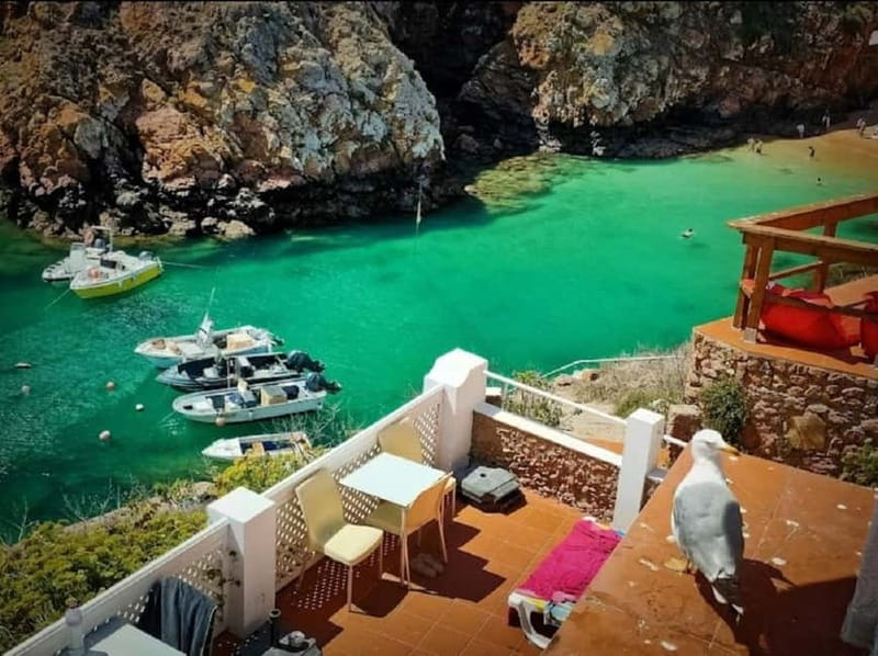 From Lisbon: Tour to Berlengas, a UNESCO natural reserve - Beach time and where to eat: enjoying Berlenga at your pace