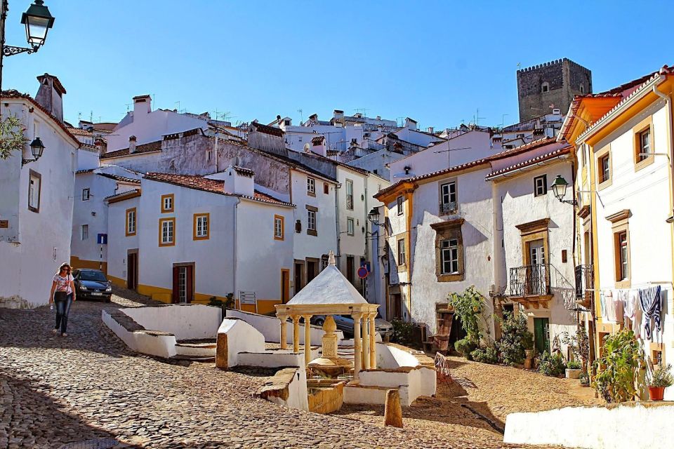 From Lisbon: Town-Hopping Transfer to Porto - Coimbra’s Old University and the Joanine Library: The Book-Lovers’ Highlight