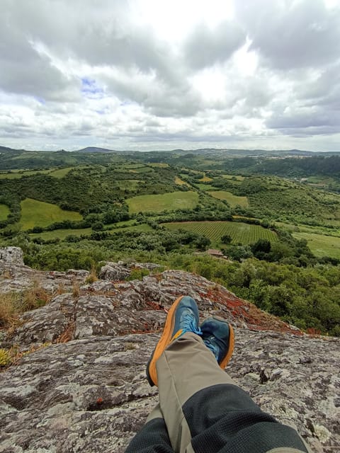 From Sintra, Mafra, or Ericeira: Hike and Wine Tour - Where Cheleiros, Mata Pequena, and a Volcano Fit Together