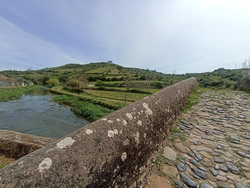 From Sintra, Mafra, or Ericeira: Hike and Wine Tour - Pickup from Sintra, Mafra, or Ericeira: The Part That Saves Your Day