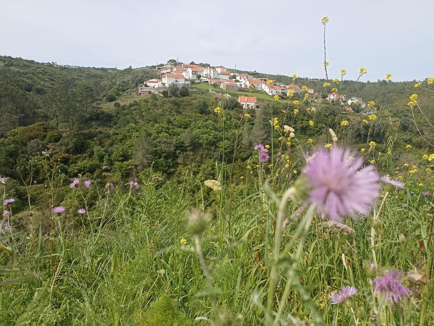 From Sintra, Mafra, or Ericeira: Hike and Wine Tour - Mata Pequena: Rural Heritage You Can Actually Walk Through