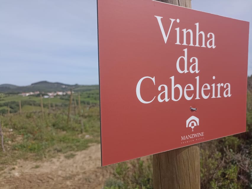 From Sintra, Mafra, or Ericeira: Hike and Wine Tour - Local Product Tasting: Cheese, Olive Oil, Bread, and More