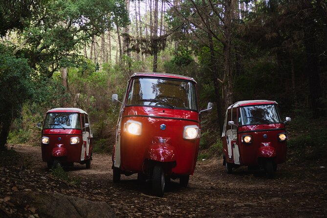Full-Day Guided Tuk-Tuk Tour in Sintra - Moorish Castle and Pena Palace: where the views do the talking