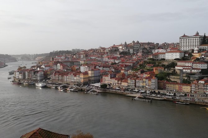 Full day Private tour in Porto - Timing tips to avoid feeling rushed
