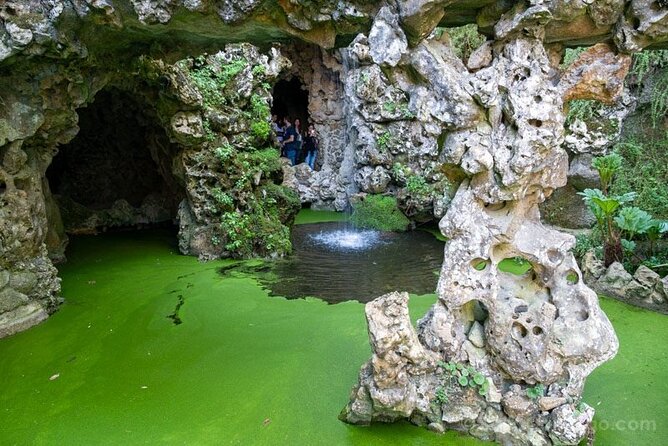 Full-Day Private Tour Sintra and Cascais with Pick Up - Pickup, comfort, and what the driver timing really means