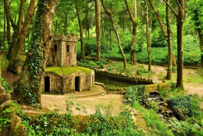 Full Day Private Tour - Sintra's World Heritage and Cascais - Queluz National Palace: the “Versailles mood” warm-up