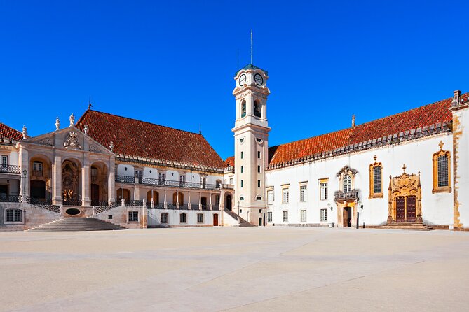 Full Day Private Transfer - From Lisbon to Porto Tour - Vehicle comfort and the private-tour advantage