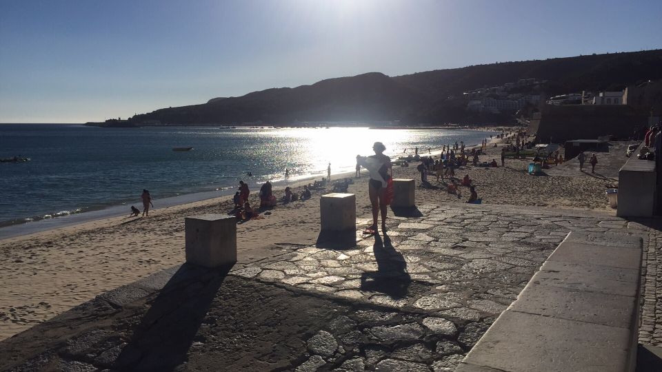Full Day Private Wine Tour in Arrabida - Timing, lunch, and comfort for an 8-hour day