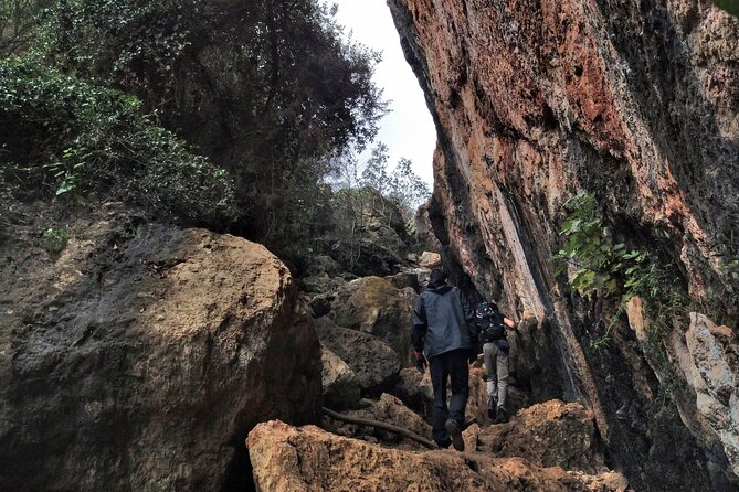 Full Day Rock Climb Adventure Trail from Lisbon with Lunch - Arrabida Natural Park Meets Rope Work: What This 8-Hour Day Really Feels Like