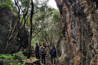 Full Day Rock Climb Adventure Trail from Lisbon with Lunch - Getting There From Sete Rios: Pickup Timing and How the Morning Paces Out