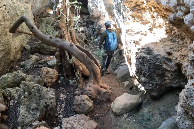 Full Day Rock Climb Adventure Trail from Lisbon with Lunch - Three Viewpoint Stops, Hydration Breaks, and Snacks That Actually Help