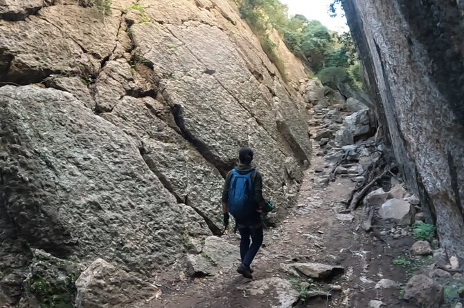 Full Day Rock Climb Adventure Trail from Lisbon with Lunch - Price and What You’re Actually Paying For at $84.10