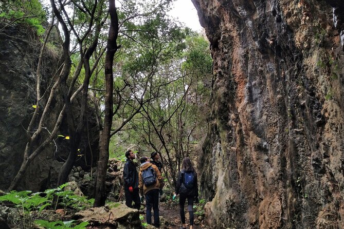 Full Day Rock Climb Adventure Trail from Lisbon with Lunch - Getting There From Sete Rios: Pickup Timing and How the Morning Paces Out