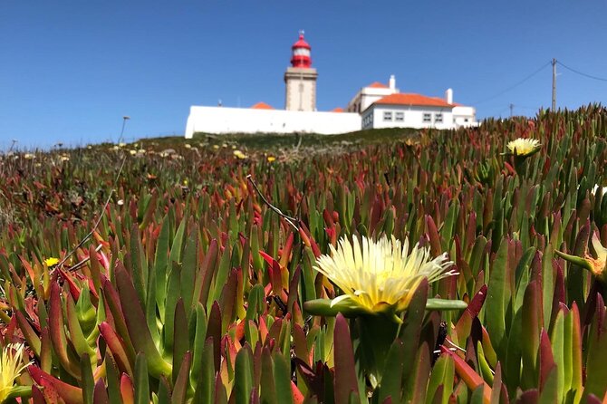 Full Day Tour: Sintra, Pena Palace, Cabo da Roca, Cascais - Price and value: what you’re really paying for