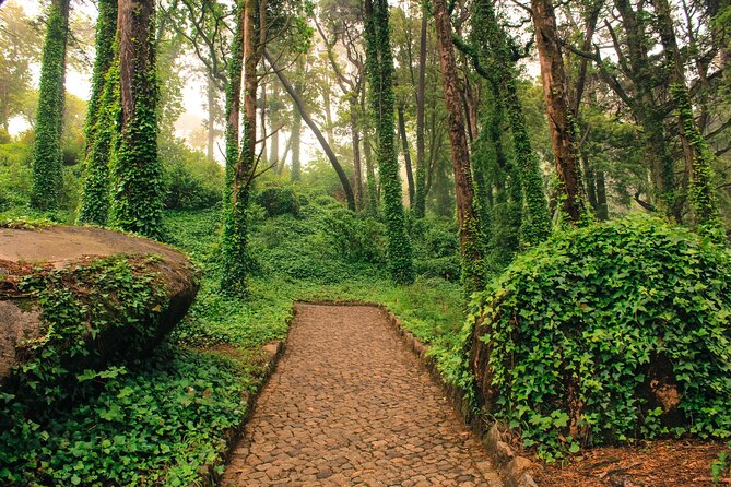 Golden Triangle Private Tour (Sintra and Cascais), from Lisbon - Practical Tips That Keep the Day Smooth