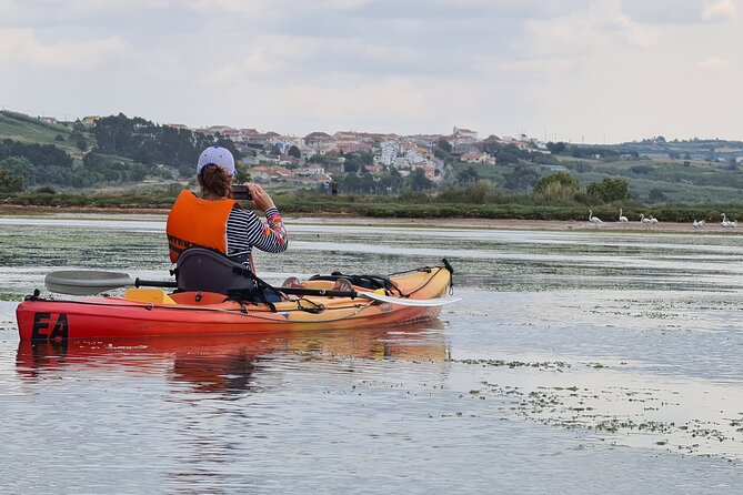 Guided Kayak Tours in the Óbidos lagoon - What Miguel teaches you: plants you can identify, wildlife you can actually spot