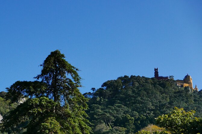 Half day adventures in the Sintra mountain - Quinta da Regaleira: Mystical Architecture and the Initiatory Well