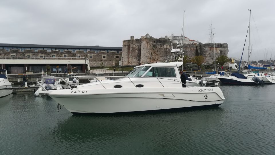 Half Day Fishing Trip - Price and Value: What $90 Covers (and Why That Matters)