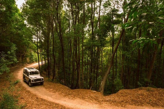 Half-day Sintra Jeep Safari - Santuario da Peninha: The Overlook Stop That Sets the Stage