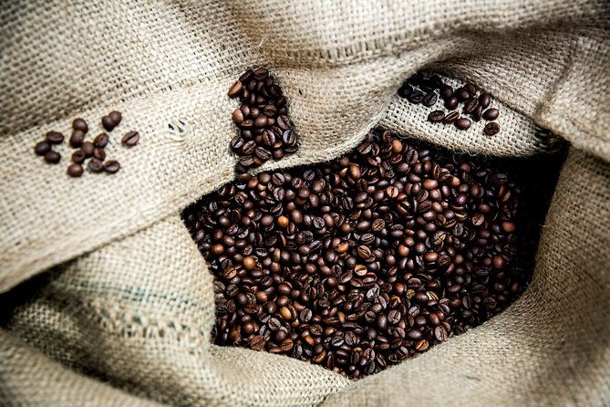 Hidden Flavors of the Hillside: Mouraria & Graça - Walking comfort: shoes, hills, and keeping your energy up