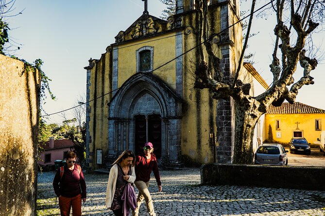 Hike in Sintra: Pena Palace, Moorish Castle, Quinta da Regaleira - Vila Sassetti descent: your sanity break through the woods