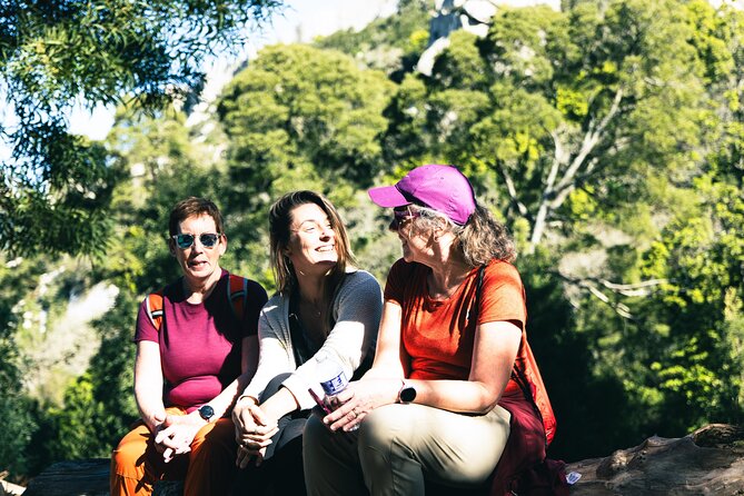 Hike in Sintra: Pena Palace, Moorish Castle, Quinta da Regaleira - Quinta da Regaleira: symbolism that’s easier when someone explains it