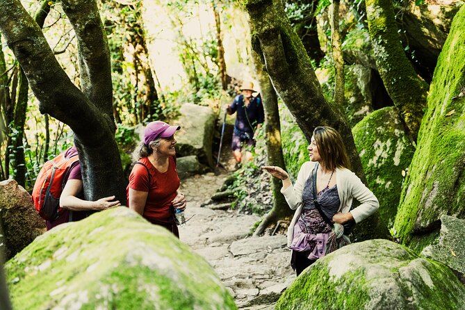 Hike in Sintra: Pena Palace, Moorish Castle, Quinta da Regaleira - Getting to Sintra from Lisbon without spending your day in traffic