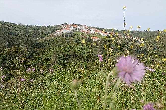 Hike & Wine Ericeira - Penedo do Lexim: the volcano chimney twist in the middle of the walk