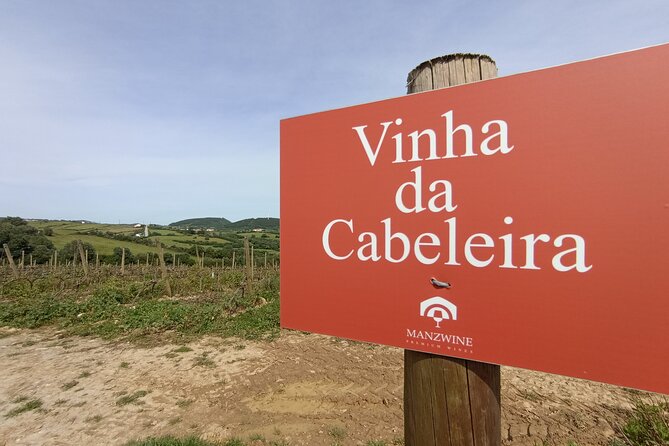 Hike & Wine Ericeira - Manzwine in Cheleiros: museum and production facilities, not just a tasting table