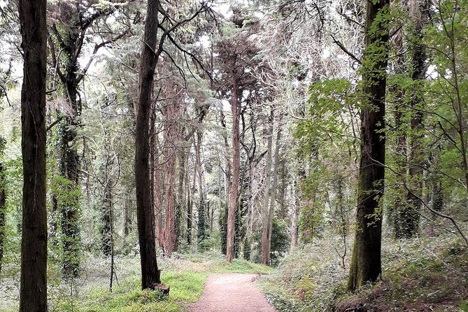 Hiking in Sintra-Cascais Natural Park - The Two-Stage Hike: Peninha Area to Cresmina Dunes