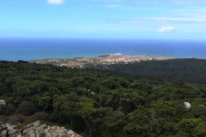 Hiking in Sintra-Cascais Natural Park - Price and Value: Is $59.29 Fair for What You Get?