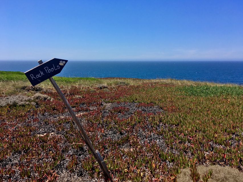Hiking Tour Along the West Coastline - Key things worth knowing