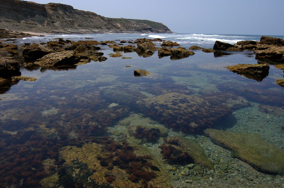Hiking Tour Along the West Coastline - FAQ