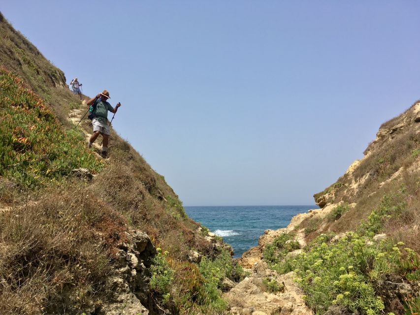 Hiking Tour Along the West Coastline - Lisbon pickup and small-group pacing: how the day runs in real life