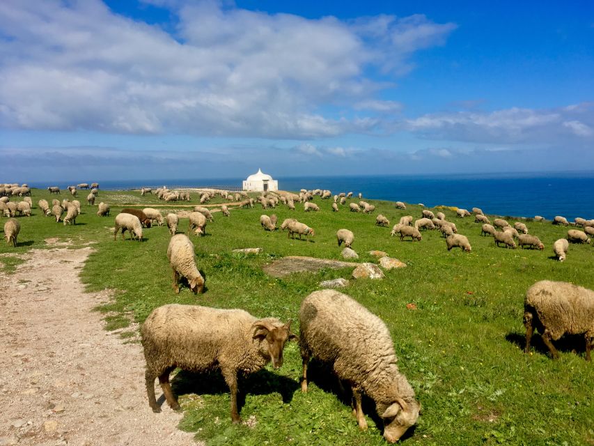 Hiking Tour Along the West Coastline - Who should book this hike (and who should skip it)