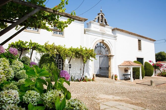 Historic Winery Tour and Tasting in Bombarral - Key highlights I’d center in my planning