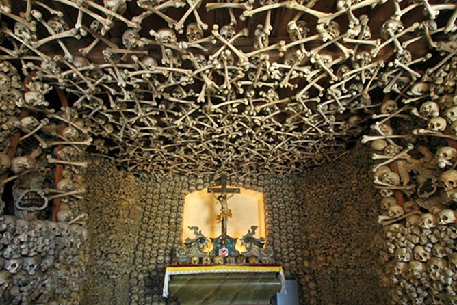 Historical Évora - PRIVATE Full Day Tour - Cork, Wine and Olive Oil Haven - Évora’s must-see lineup: Roman Temple, Sé, S. Francisco Church, Bone Chapel