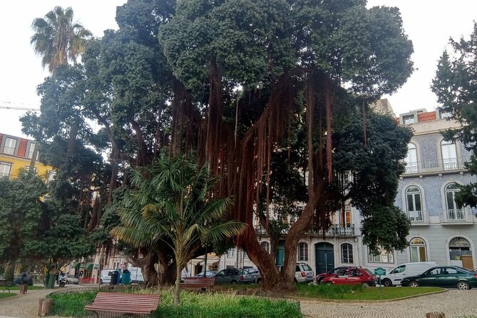 History-mistery of Lisbon (secrets societies and black arts) - Jardim do Príncipe Real: aqueduct history and underground water mysteries