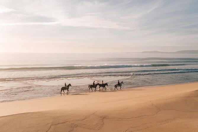 Horse Riding on the Beach with private transfer from Lisbon - Why Comporta, not just another beach day