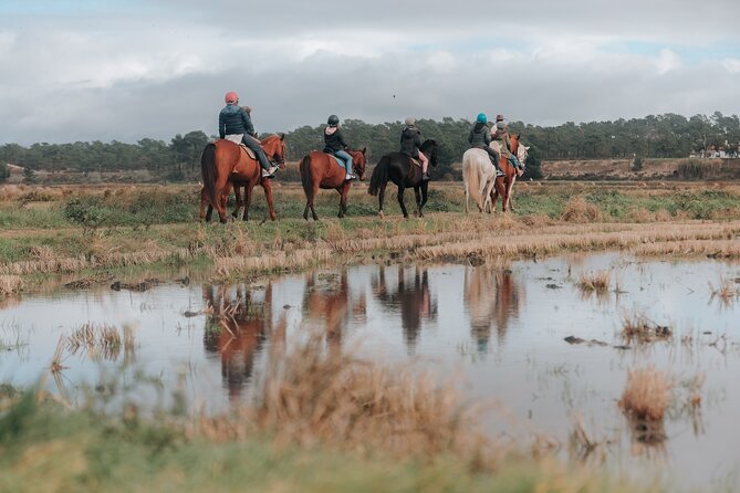 Horse Riding on the Beach with private transfer from Lisbon - What to wear and pack for Comporta horseback riding