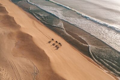 Horse riding on the beach, with private transfer from Lisbon - Melides Beach horseback riding: what happens for those 2 hours