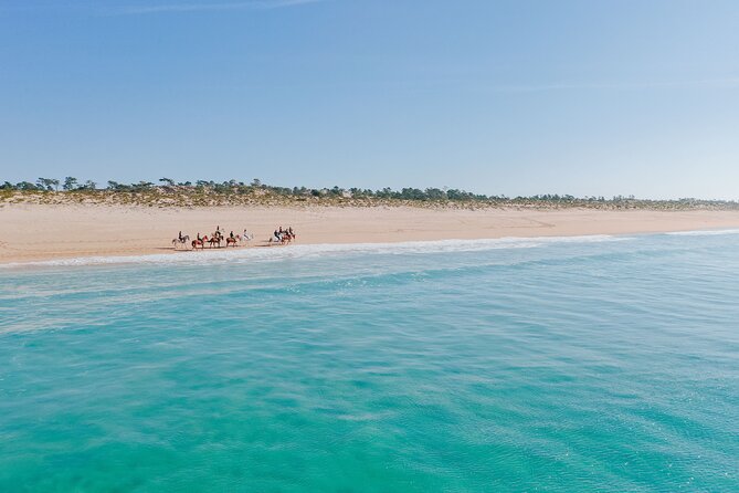 Horse Riding on the Beach with private transfer from Lisbon - Price and value: what you’re really paying for