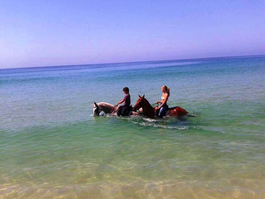 Horse riding on the beach, with private transfer from Lisbon - Weather, timing, and your best start time
