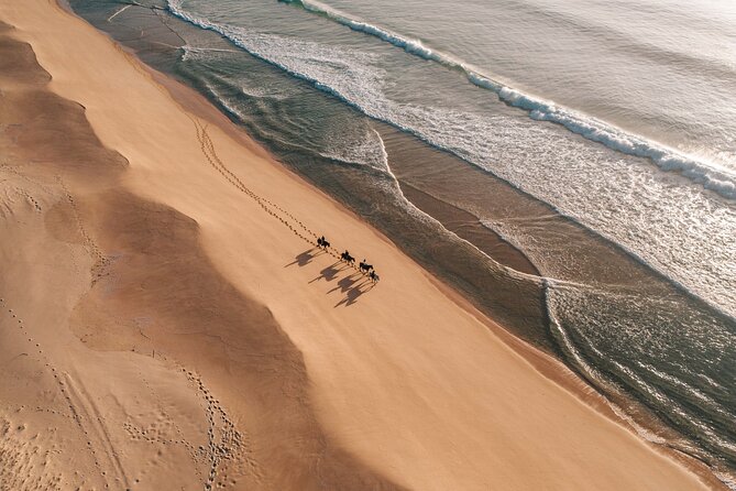 Horse Riding on the Beach with private transfer from Lisbon - The ride through Herdade da Comporta: sand, dunes, and private nature