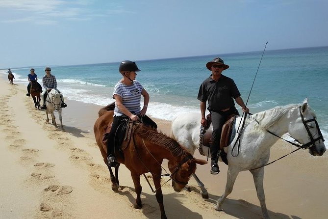 Horse Riding Tour on the Beach Lisbon region - Quick hits