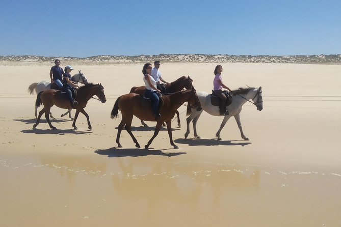 Horse Riding Tour on the Beach Lisbon region - The Big Moment: Rice Fields to Comporta Beach