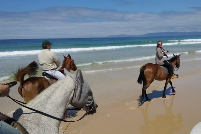 Horse Riding Tour on the Beach Lisbon region - What to Wear and Bring for a Beach Horse Ride