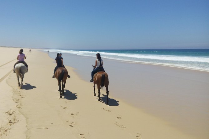 Horse Riding Tour on the Beach Lisbon region - Who Should Book This, and Who Might Pass