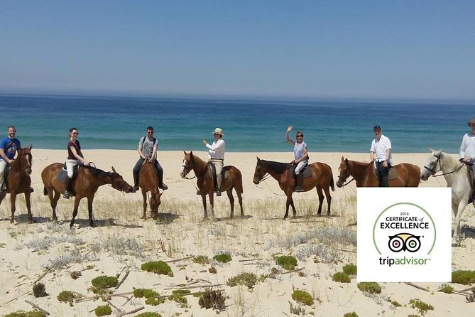 Horse Riding Tour on the Beach Lisbon region - Should You Book This Comporta Horse Riding Tour?